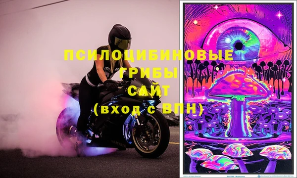 сатива Вязники