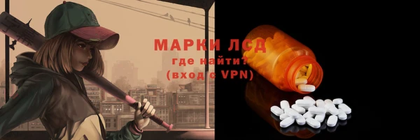 spice Вяземский