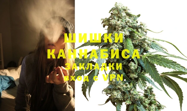 сатива Вязники