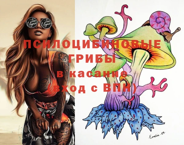 spice Вяземский