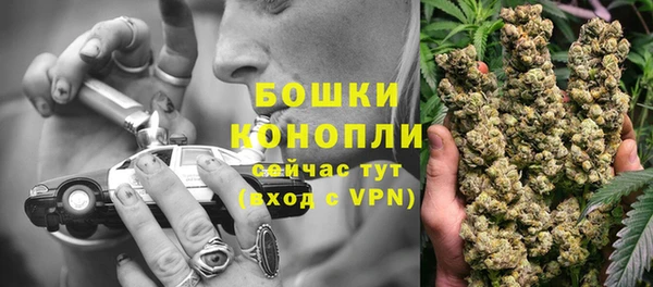 spice Вяземский