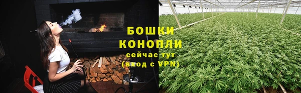 сатива Вязники