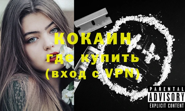 spice Вяземский