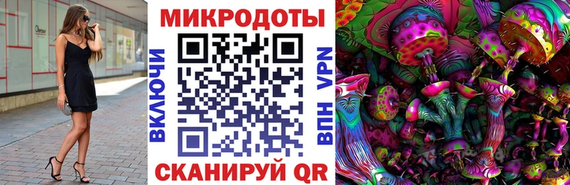 Псилоцибиновые грибы GOLDEN TEACHER  Гусь-Хрустальный 